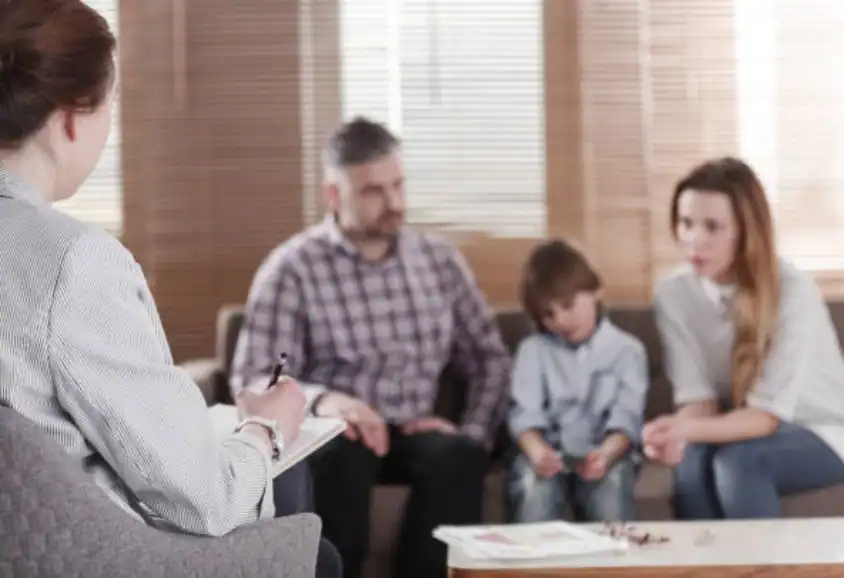 Child Custody and Relocation in International Family Disputes Swinton